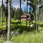 Aspen