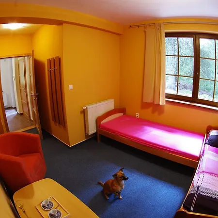 Apartament Aspen Dolina Demianowska
